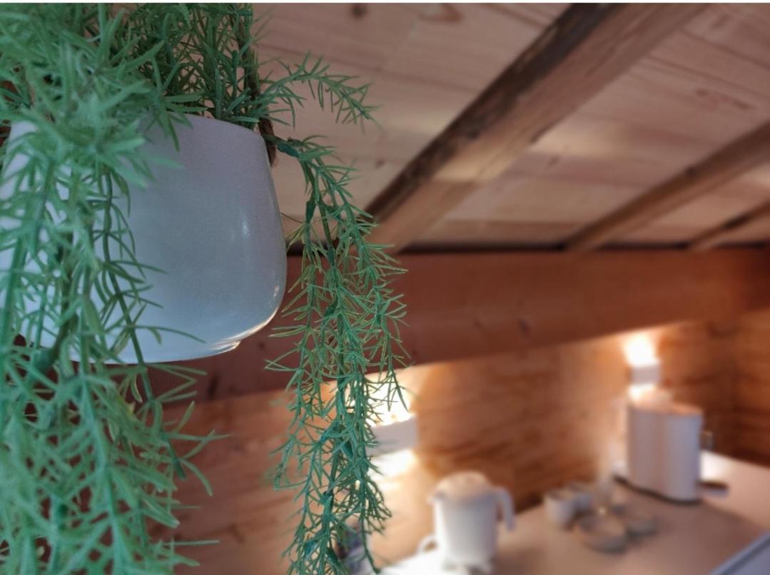 Chambre Boille A Lait Entremont Екстериор снимка
