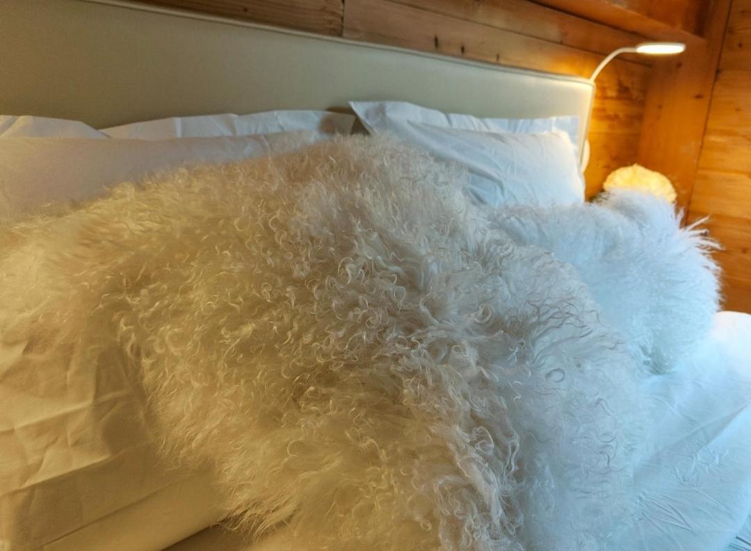 Chambre Boille A Lait Entremont Екстериор снимка